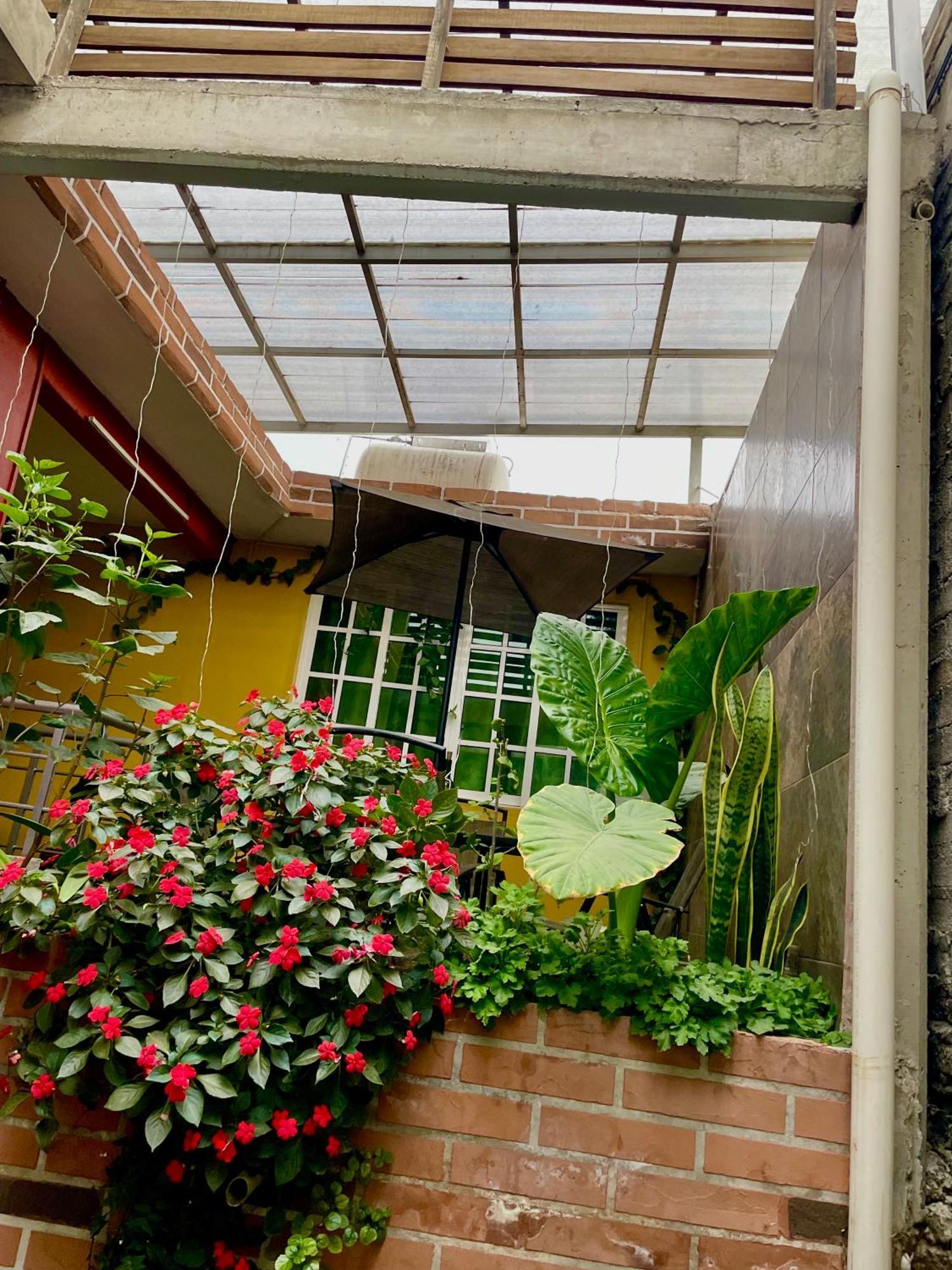 Apartament Hidden House Meksyk Zewnętrze zdjęcie